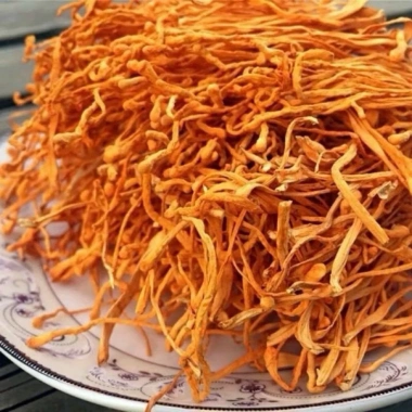 Nấm Đông Trùng Hạ Thảo Sấy Khô 1Kg - Sợi to đẹp, hương thơm tự nhiên, dưỡng sức, bổ dưỡng