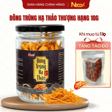 Nấm đông trùng hạ thảo sấy khô tự nhiên 10g Necovi Quà tặng đặc sản, giá 150.000₫