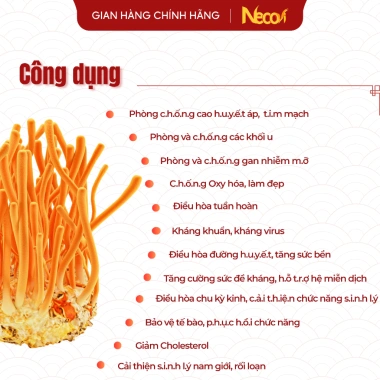 Nấm đông trùng hạ thảo sấy khô tự nhiên 10g Necovi Quà tặng đặc sản, giá 150.000₫