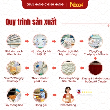 Nấm đông trùng hạ thảo sấy khô tự nhiên 10g Necovi Quà tặng đặc sản, giá 150.000₫