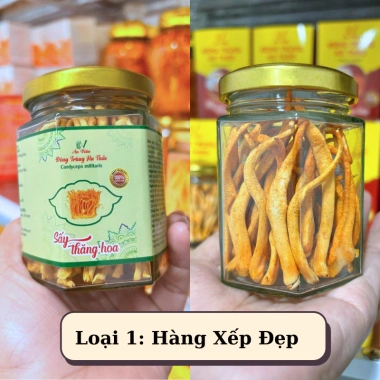 Nấm Đông Trùng Hạ Thảo Sấy Thăng Hoa 10g - Giá 99.000 | AN VIÊN HÀ NAM 10 Nấm Đông Trùng Hạ Thảo Sấy Thăng Hoa 10g - Giá 99.000 | AN VIÊN HÀ NAM 10