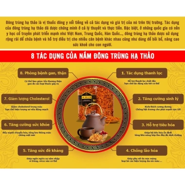 Nấm đông trùng hạ thảo sấy thăng hoa 50g sợi rối ít gãy – ăn ngon ngủ ngon, 176k