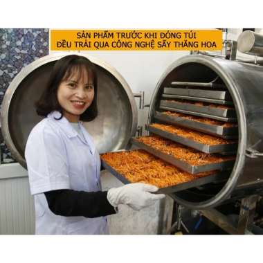 Nấm đông trùng hạ thảo sấy thăng hoa 50g sợi rối ít gãy – ăn ngon ngủ ngon, 176k