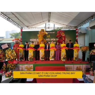 Nấm đông trùng hạ thảo sấy thăng hoa 50g sợi rối ít gãy – ăn ngon ngủ ngon, 176k