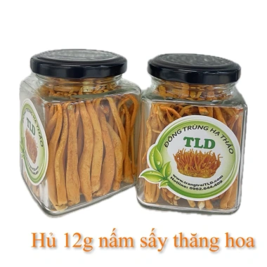 Nấm Đông Trùng Hạ Thảo TLD Sấy Thăng Hoa 12-25-50g - Hữu Cơ 100% - Dược Chất Cao - Giá Ưu Đãi 65,000 VND