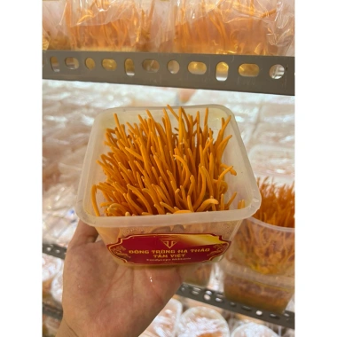 Nấm đông trùng hạ thảo tươi Tâm Việt 150g - Giá chỉ 61.211đ, giảm tới 22% cho sức khỏe tối ưu