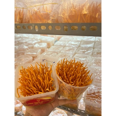 Nấm đông trùng hạ thảo tươi Tâm Việt 150g - Giá chỉ 61.211đ, giảm tới 22% cho sức khỏe tối ưu