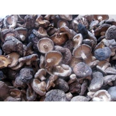 Nấm hương tươi 100g - Giá siêu ưu đãi 19.000đ, giảm tới 30%, giàu dinh dưỡng, thích hợp nấu ăn