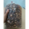 Nấm hương tươi 100g - Giá siêu ưu đãi 19.000đ, giảm tới 30%, giàu dinh dưỡng, thích hợp nấu ăn 4