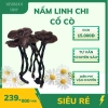Nấm Lim Xanh, Linh Chi Cổ Cò Tây Bắc, Nấm Linh Chi Đỏ, Sừng Hươu - Giá ưu đãi 1,25 Triệu