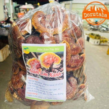 Nấm lim xanh rừng Tây Bắc, linh chi đỏ, sừng hươu - Đồ ngâm rượu 280k giảm giá 2 Nấm lim xanh rừng Tây Bắc, linh chi đỏ, sừng hươu - Đồ ngâm rượu 280k giảm giá 2