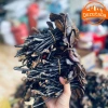 Nấm linh chi cổ cò rừng Tây Bắc 200g-1kg Đỏ, sừng hươu, lim xanh, giảm 22% còn 385k