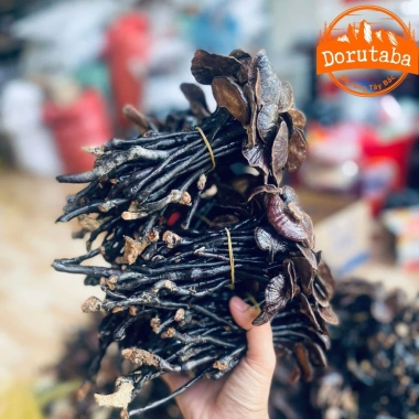 Nấm linh chi cổ cò rừng Tây Bắc 200g-1kg Đỏ, sừng hươu, lim xanh, giảm 22% còn 385k
