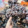Nấm linh chi cổ cò rừng Tây Bắc 200g-1kg Đỏ, sừng hươu, lim xanh, giảm 22% còn 385k 2