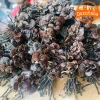 Nấm linh chi cổ cò rừng Tây Bắc 200g-1kg Đỏ, sừng hươu, lim xanh, giảm 22% còn 385k 3