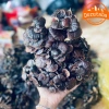 Nấm linh chi cổ cò rừng Tây Bắc 200g-1kg Đỏ, sừng hươu, lim xanh, giảm 22% còn 385k 6