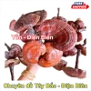 Nấm Linh Chi Đỏ 1kg - Thảo Dược Bồi Bổ Sức Khỏe, Tăng Đề Kháng, An Thần, Giảm Giá 250k