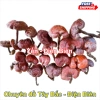 Nấm Linh Chi Đỏ 1kg - Thảo Dược Bồi Bổ Sức Khỏe, Tăng Đề Kháng, An Thần, Giảm Giá 250k 2
