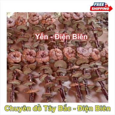 Nấm Linh Chi Đỏ 1kg - Thảo Dược Bồi Bổ Sức Khỏe, Tăng Đề Kháng, An Thần, Giảm Giá 250k