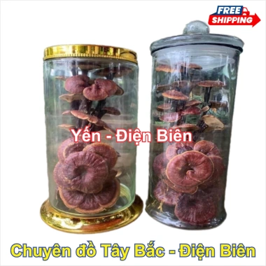 Nấm Linh Chi Đỏ 1kg - Thảo Dược Bồi Bổ Sức Khỏe, Tăng Đề Kháng, An Thần, Giảm Giá 250k