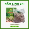 Nấm Linh Chi Đỏ 200g Trải Nghiệm Từ Rừng HTX Núi Cờ - Giá Ưu Đãi 450.000 VND