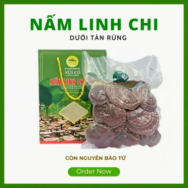 Nấm Linh Chi Đỏ 200g Trải Nghiệm Từ Rừng HTX Núi Cờ - Giá Ưu Đãi 450.000 VND