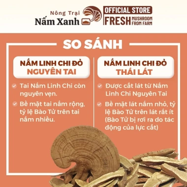 Nấm Linh Chi Đỏ 250gr Nguyên Tai (Còn Bào Tử) - Tốt cho sức khỏe 400.000₫ Nông Trại Xanh 2
