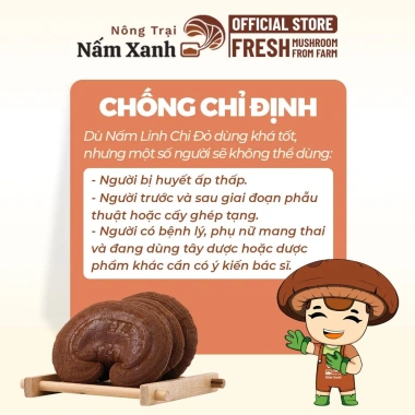 Nấm Linh Chi Đỏ 250gr Nguyên Tai (Còn Bào Tử) - Tốt cho sức khỏe 400.000₫ Nông Trại Xanh 6