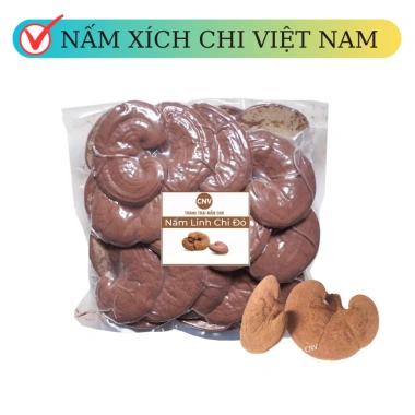 Nấm linh chi đỏ cao cấp 500g CNV Việt Nam - Tăng sức đề kháng, hỗ trợ sức khỏe, giá ưu đãi 330.000 VND