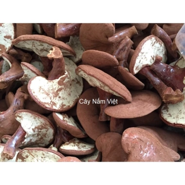 Nấm linh chi đỏ cao cấp 500g CNV Việt Nam - Tăng sức đề kháng, hỗ trợ sức khỏe, giá ưu đãi 330.000 VND