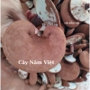 Nấm linh chi đỏ cao cấp 500g CNV Việt Nam - Tăng sức đề kháng, hỗ trợ sức khỏe, giá ưu đãi 330.000 VND 4