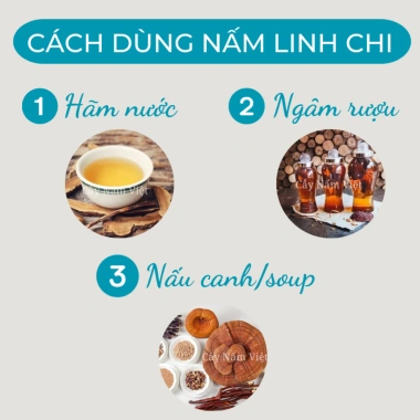Nấm linh chi đỏ cao cấp 500g CNV Việt Nam - Tăng sức đề kháng, hỗ trợ sức khỏe, giá ưu đãi 330.000 VND