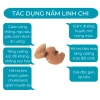 Nấm linh chi đỏ cao cấp 500g CNV Việt Nam - Tăng sức đề kháng, hỗ trợ sức khỏe, giá ưu đãi 330.000 VND 8