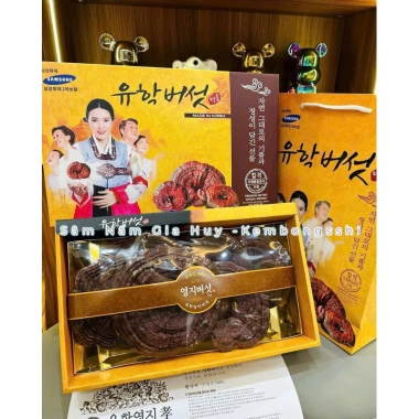 Nấm Linh Chi Đỏ Cao Cấp Hàn Quốc Hộp Giấy Cô Gái - Tăng Sức Đề Kháng, Giảm Mệt Mỏi, Giá Ưu Đãi 699.000₫