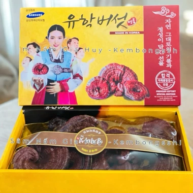 Nấm Linh Chi Đỏ Cao Cấp Hàn Quốc Hộp Giấy Cô Gái - Tăng Sức Đề Kháng, Giảm Mệt Mỏi, Giá Ưu Đãi 699.000₫