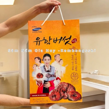 Nấm Linh Chi Đỏ Cao Cấp Hàn Quốc Hộp Giấy Cô Gái - Tăng Sức Đề Kháng, Giảm Mệt Mỏi, Giá Ưu Đãi 699.000₫