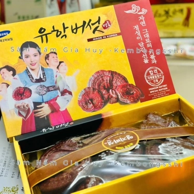 Nấm Linh Chi Đỏ Cao Cấp Hàn Quốc Hộp Giấy Cô Gái - Tăng Sức Đề Kháng, Giảm Mệt Mỏi, Giá Ưu Đãi 699.000₫