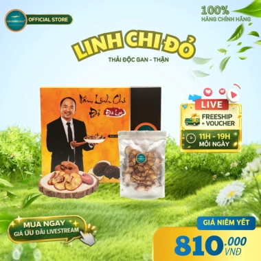 Nấm Linh Chi Đỏ Đà Lạt Kim Cương Vàng 250g – Giải Độc Gan, Giảm Mệt Mỏi, Cải Thiện Sức Khỏe – Giá Khuyến Mãi 810.000 VND