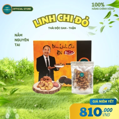 Nấm Linh Chi Đỏ Đà Lạt Kim Cương Vàng 250g – Giải Độc Gan, Giảm Mệt Mỏi, Cải Thiện Sức Khỏe – Giá Khuyến Mãi 810.000 VND