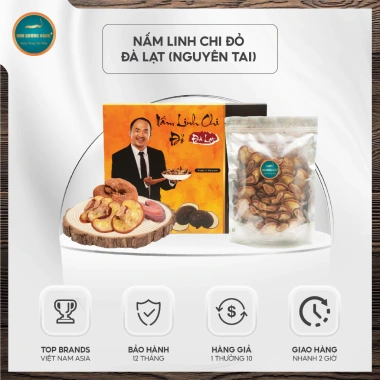 Nấm Linh Chi Đỏ Đà Lạt Kim Cương Vàng 250g – Giải Độc Gan, Giảm Mệt Mỏi, Cải Thiện Sức Khỏe – Giá Khuyến Mãi 810.000 VND