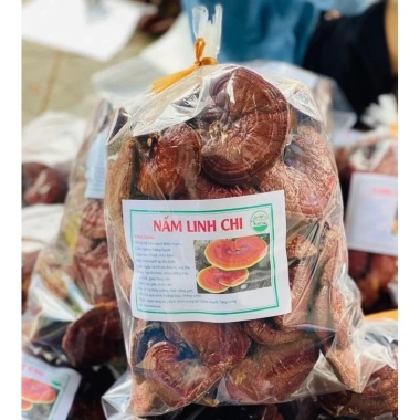 Nấm Linh Chi Đỏ (Hồng Chi) - Tăng đề kháng, hỗ trợ sức khỏe - Giá ưu đãi 332.500đ