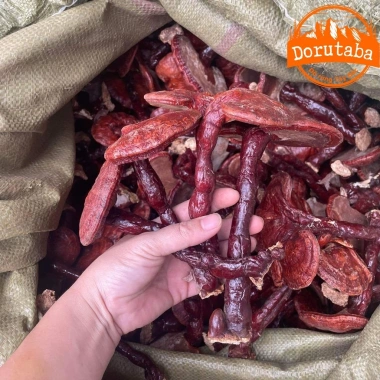 Nấm linh chi đỏ khô rừng Tây Bắc thu hái tự nhiên – Thảo dược quý, kèm sừng hươu, nấm lim xanh, giá 190.000đ