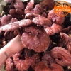 Nấm linh chi đỏ khô rừng Tây Bắc thu hái tự nhiên – Thảo dược quý, kèm sừng hươu, nấm lim xanh, giá 190.000đ 5