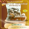 Nấm Linh Chi Đỏ nguyên bào tử 1kg - Hồng Chi Đà Lạt, giá 620k, hỗ trợ sức khỏe