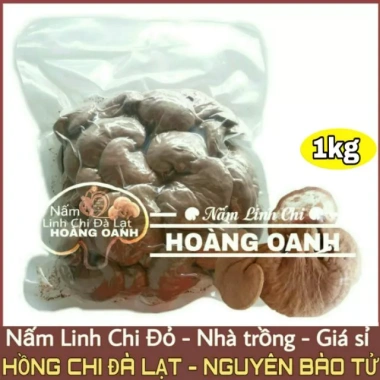 Nấm Linh Chi Đỏ nguyên bào tử 1kg - Hồng Chi Đà Lạt, giá 620k, hỗ trợ sức khỏe 2