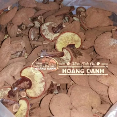 Nấm Linh Chi Đỏ nguyên bào tử 1kg - Hồng Chi Đà Lạt, giá 620k, hỗ trợ sức khỏe 3