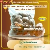 Nấm Linh Chi Đỏ nguyên bào tử 500g - Hồng Chi Đà Lạt giá ưu đãi 310.000 VND