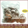 Nấm Linh Chi Đỏ nguyên bào tử 500g - Hồng Chi Đà Lạt giá ưu đãi 310.000 VND 2