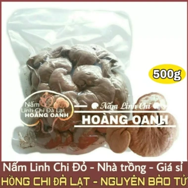 Nấm Linh Chi Đỏ nguyên bào tử 500g - Hồng Chi Đà Lạt giá ưu đãi 310.000 VND 2