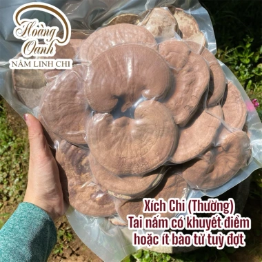 Nấm Linh Chi Đỏ nguyên bào tử 500g - Hồng Chi Đà Lạt giá ưu đãi 310.000 VND 6